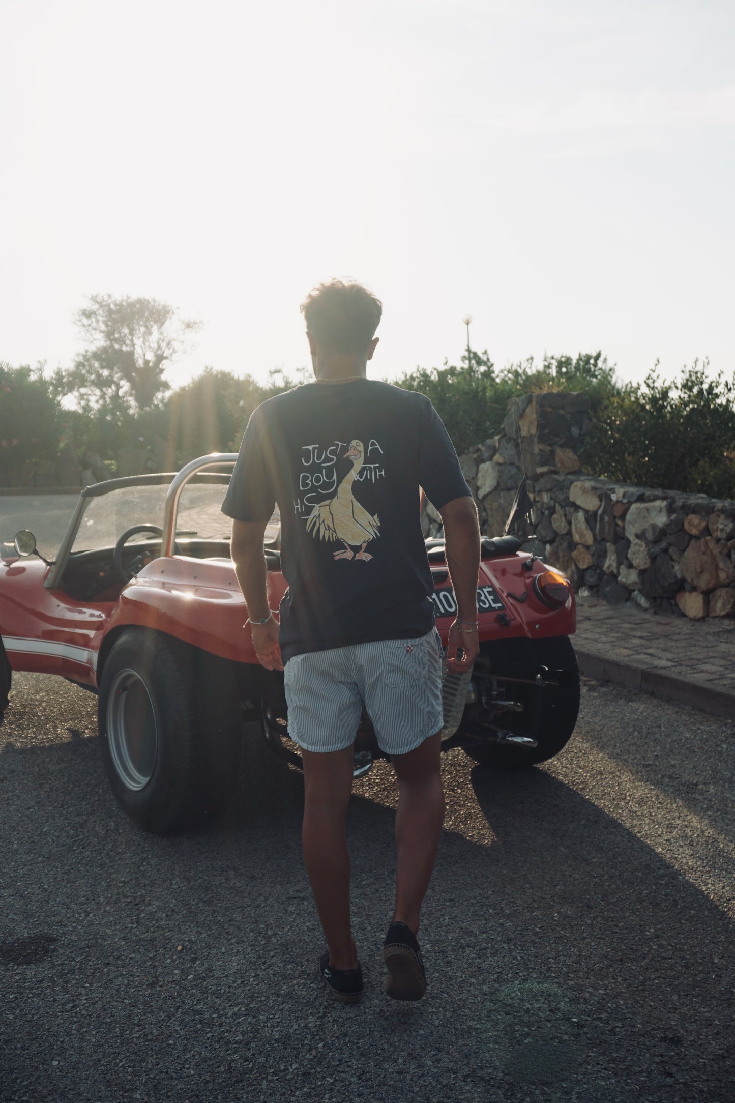 goose t-shirt boy